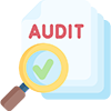 audit audit