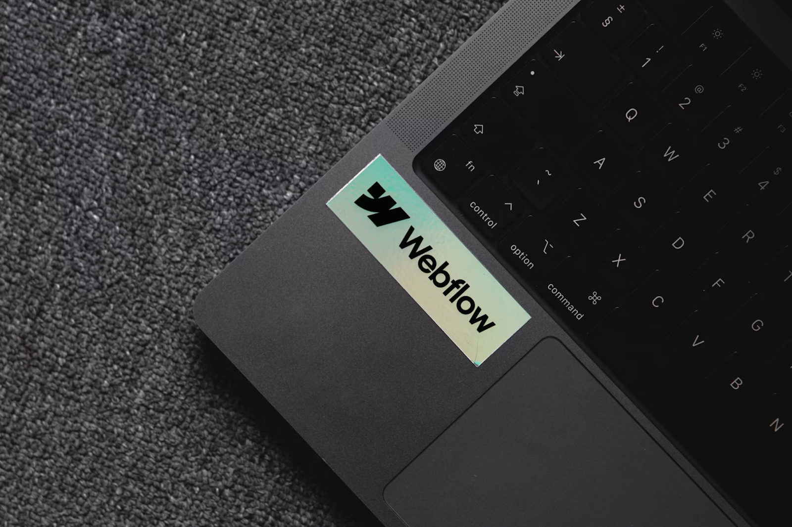 webflow-2 webflow-2